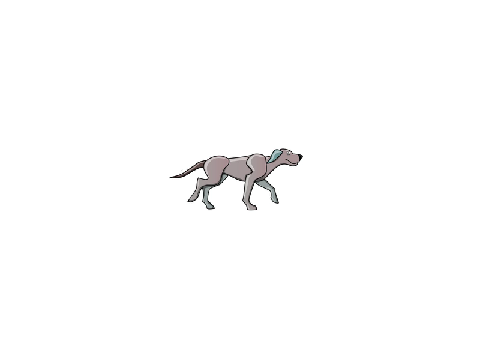 Dog Animation