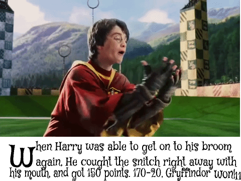 My first Quidditch game! (Harry Potter) :)