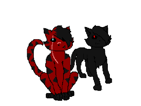 for snowyleaf