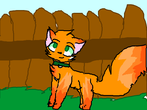 Art Contest Entry