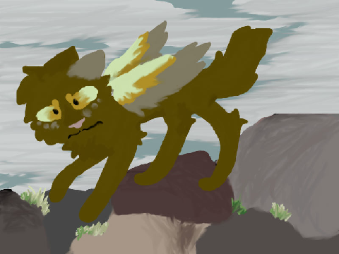 Entry to contest
