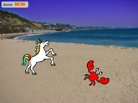 Crab Project