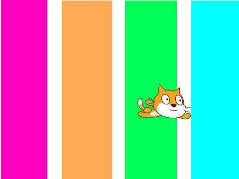 A Ramdom Crazy Cat