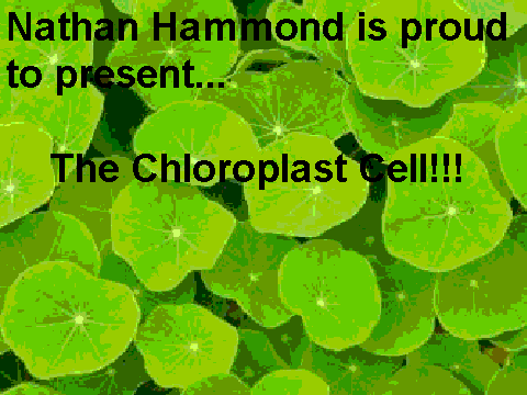 Science Project- The Chloroplast Cell