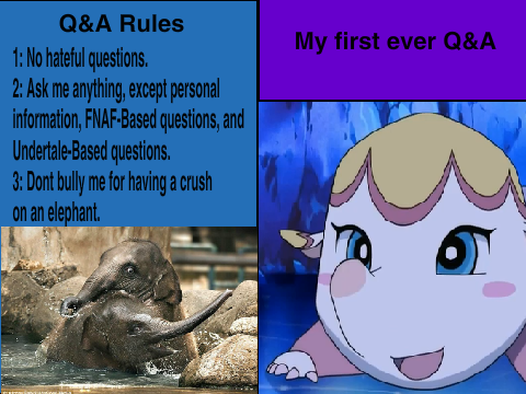 Q&A #1 (Type your questions in the comments section below)