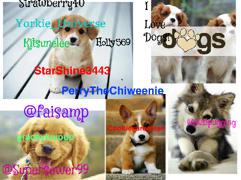 sign if you LOVE DOGS   remix