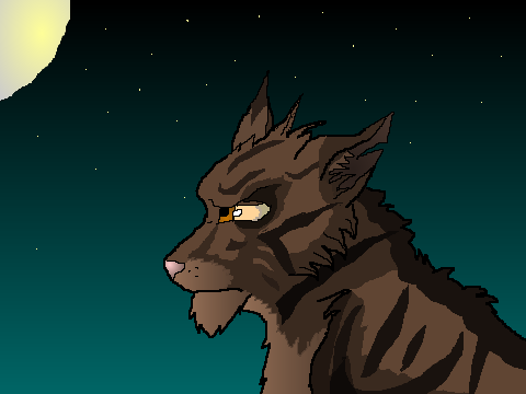for duskpelt12345