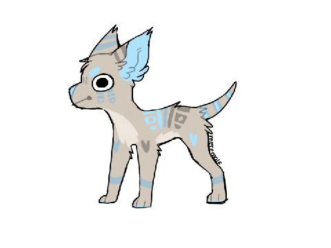 ||200 follower dta open||doggos||