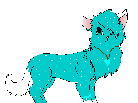 For Shimmerthekitty