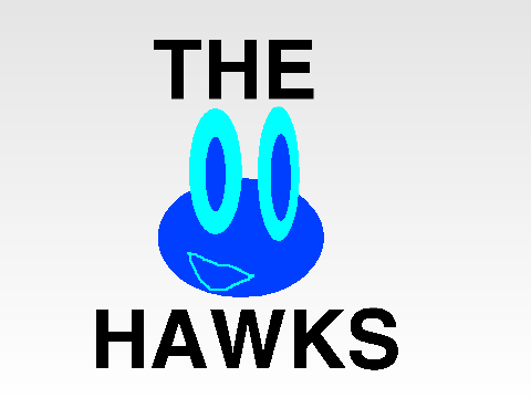 THE HAWKS STUDIO FRAME ART!!!