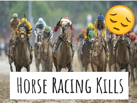 Horse Racing Kills