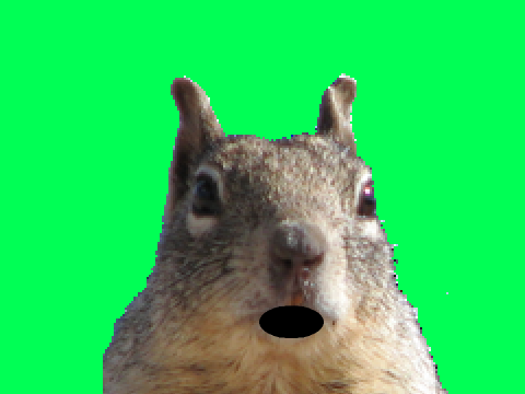 Squirrel Opera :p