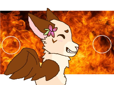 ↣  ◦ fire ◦  ↢ • M E M E 