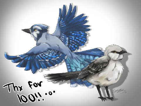 = 100 follower raffle =