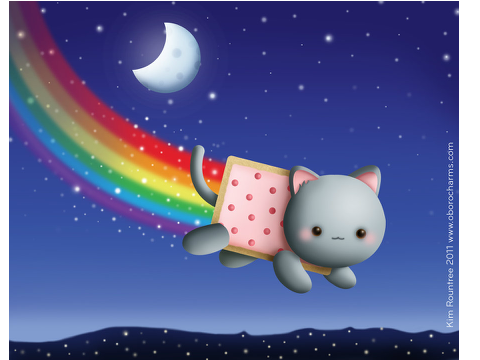 kitzkat nyan
