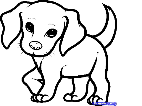 Puppy Coloring Contest *OPEN*