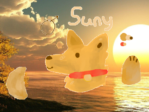 ✴ Suny ✴