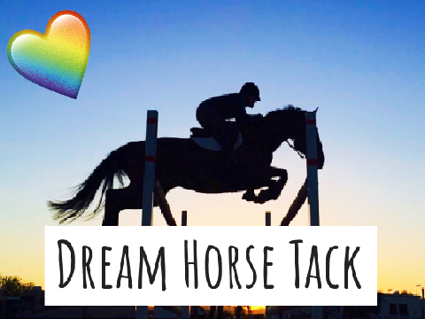 My Dream Horse Tack!