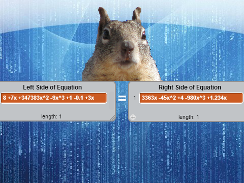 The Equation-solving Squirrel