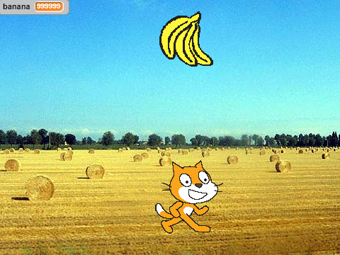 catch bananas
