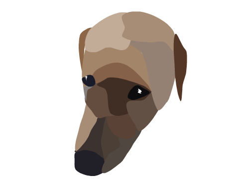 ~Rover Blockshade!!~