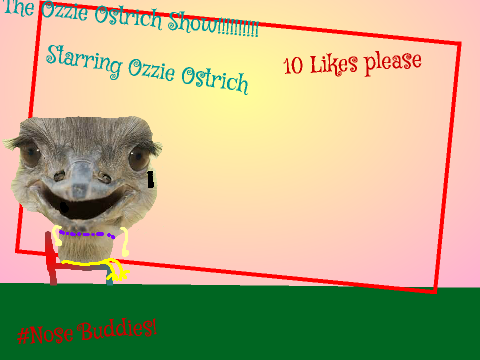 The Ozzie Ostrich show ep 1