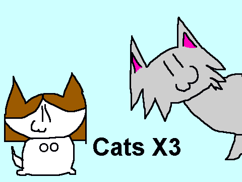 CATZ X3