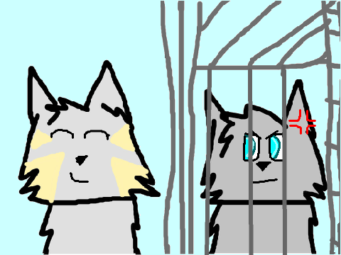 Pokemon MEP part 20 (VERY MAGESTIC)