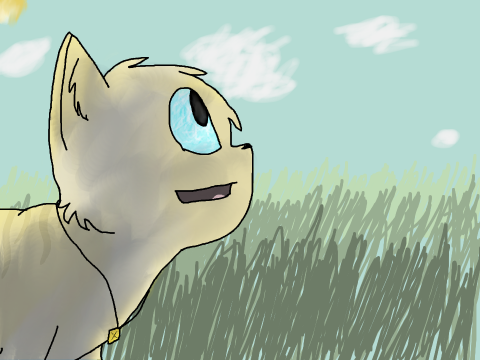 Shiver CC Entry