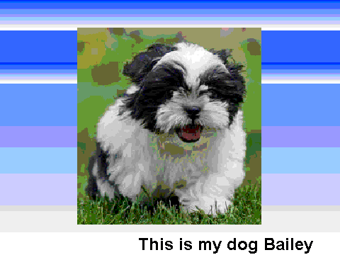 This is my Dog Bailey (Boy) when he was 14 weeks old