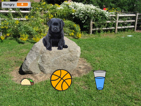 Virtual Pet Dog