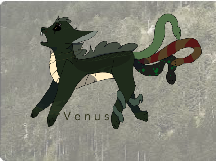 V e n u s - D T A E