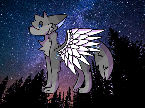 + a night skye +