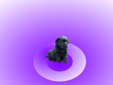 Puppy clicker!