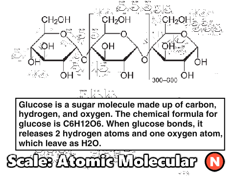 Systems And Scale: Molecule Project (For school)