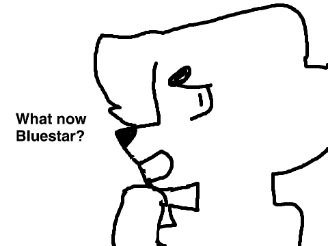 MORE animation practice
