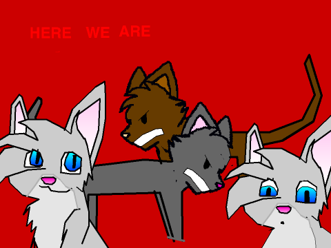 amv wip cat warriors