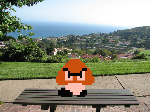 Say with goomba