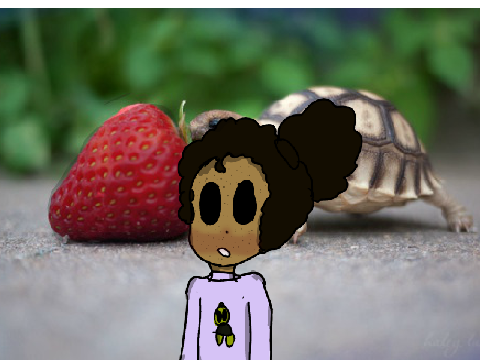turtle boi