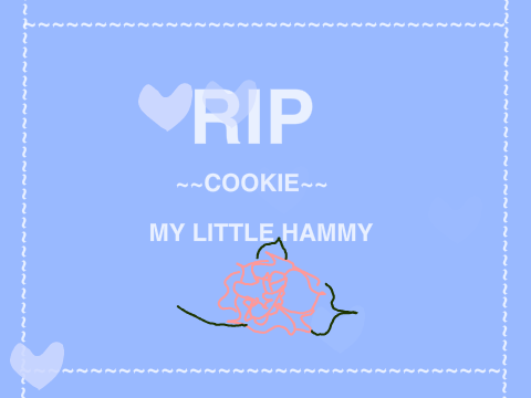 ~~~RIP cookie, my little hamster~~~