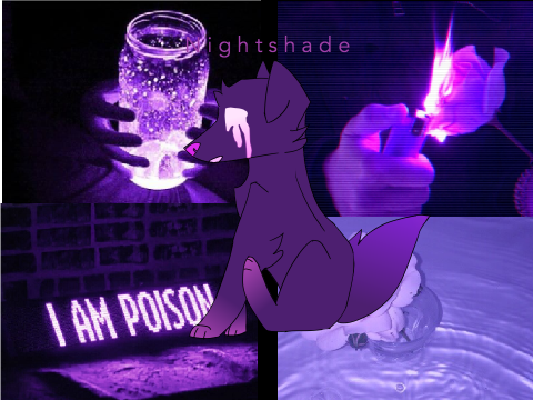 ~400 Aesthetic DTAE~