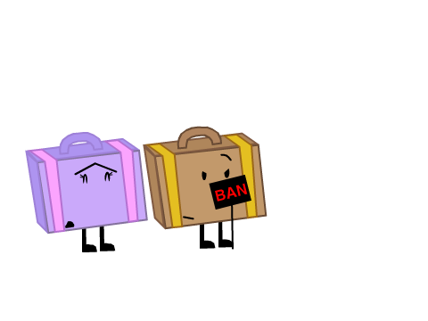 Suitcase bans School