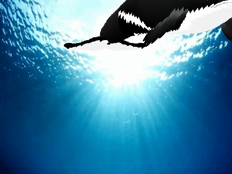 Whale follows mouse remix  