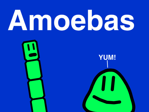 Amoeba Science Animation | SVMS