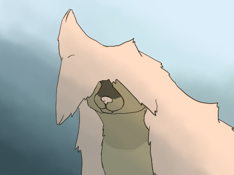 Animation Trade for Flook :D