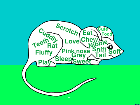 ~Rat Word Art~(For ratsarecute)