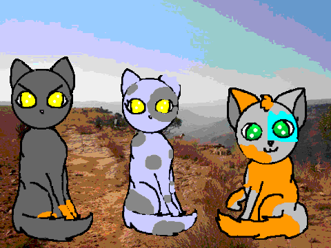 Hawktail's kits