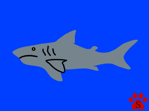 shark NOT silhouette, because why not! remix