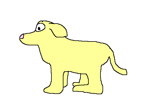 new competion