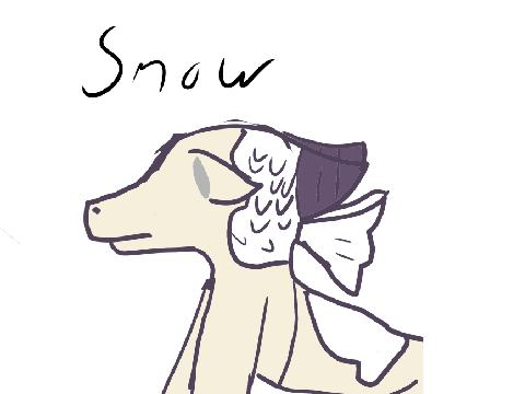 new ocs